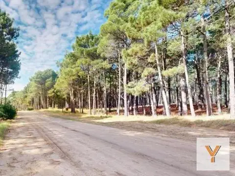 Terreno en Venta de 1000,0 m2
