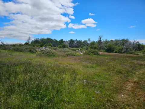 VENTA DE CAMPO EN CHUBUT-GOBERNADOR  COSTA- TEHUELCHES SOBRE RUTA
