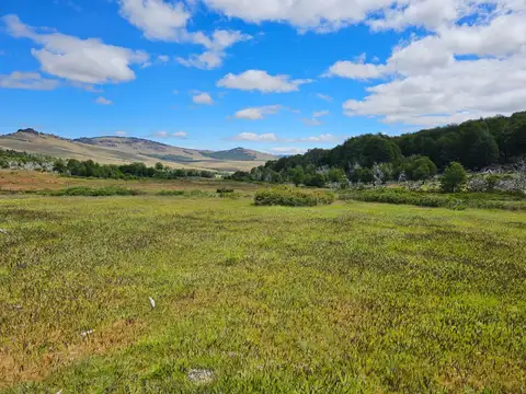 Campo en Venta Ganadero