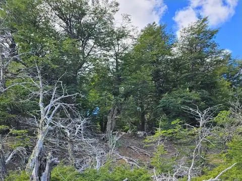 Campo en Venta de 9.000  ha