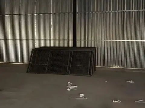 Galpon en Venta en Cañuelas, USD 280.000