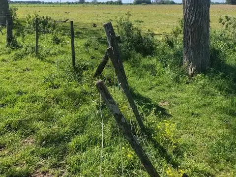 Baradero 33 Has Agricolas