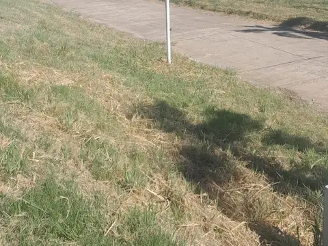 Doctora Elvira Rawson 100