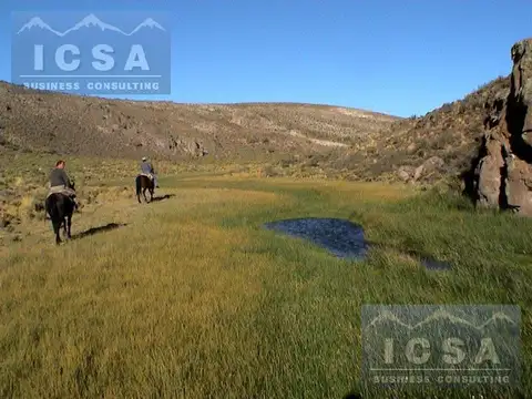 INMOBILIARIA COMODORO - Campo a 80 km de Esquel sobre Ruta 40 pavimentada
