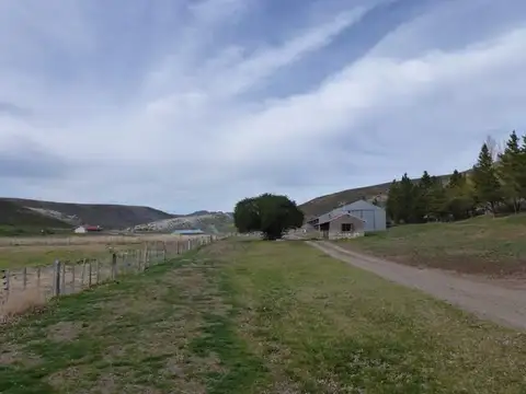Ruta 40 - Tecka