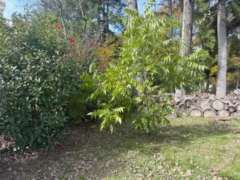 Terreno en Venta en Capilla del Señor, USD 65.000