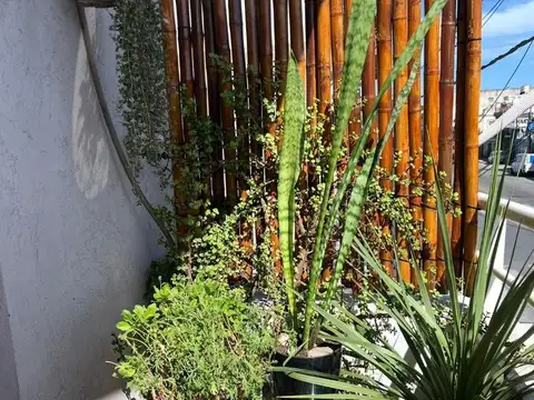 Departamento en Alquiler 10 años