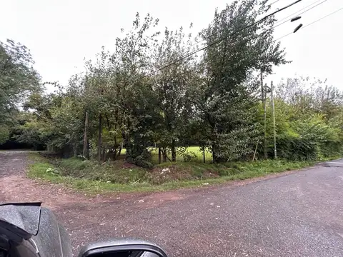 Posadas 2099 100