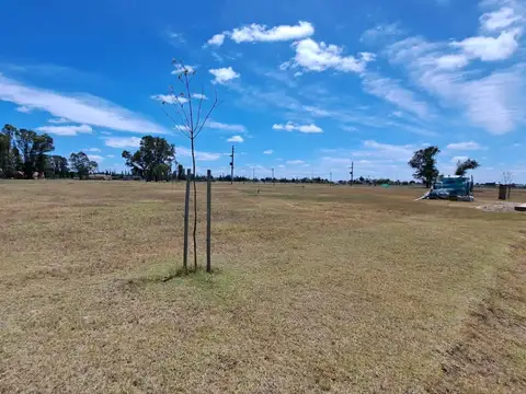 Terreno en Venta 20  mts Frente