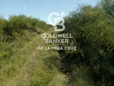 ALQUILER-EXCELENTE CAMPO GANADERIA DE CRIA