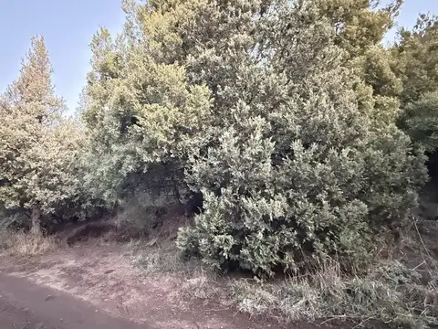 Terreno en venta Barrio Parque Faldeo 
