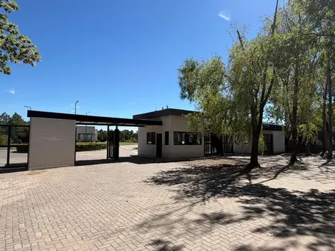 El Cardal 2 37