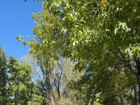 Terreno en Venta en El Cardal 2, USD 33.000
