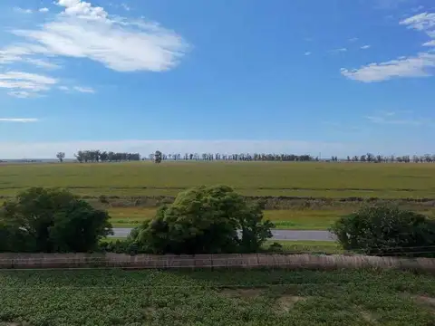 VENTA 6 hectáreas sobre la Ruta nacional nº11