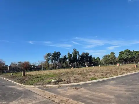 Terreno de 25x25 en el Barrio La Estela de Pilar 