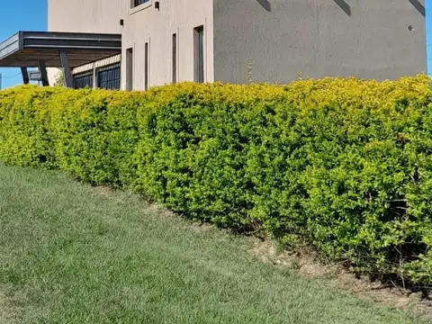 Casa en Venta con 6 cocheras