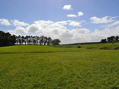 El mejor Lote de Barrancas de San Benito Chapadmala en Venta