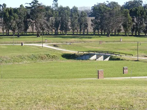 Barrancas De San Benito, Las Focas 600