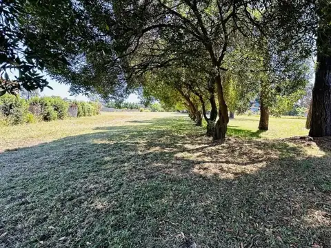 Terreno en Venta 45  mts Fondo