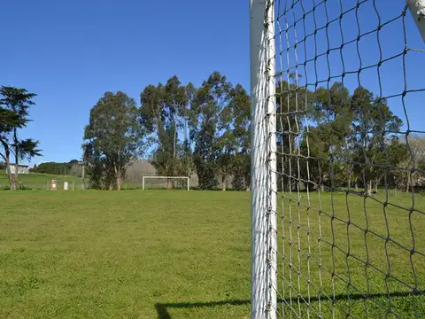 Barrancas De San Benito, Las Focas 600