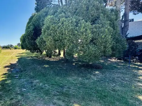 Terreno en Venta de 1156,0 m2