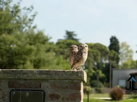 Terreno en Venta 20  mts Frente