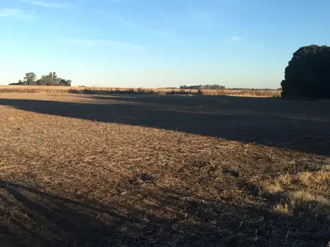 Campo en Portela, Baradero