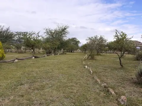 El Mirador del Lago