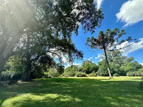Lote en Barrio San Antonio, Loma Verde   ID 5368