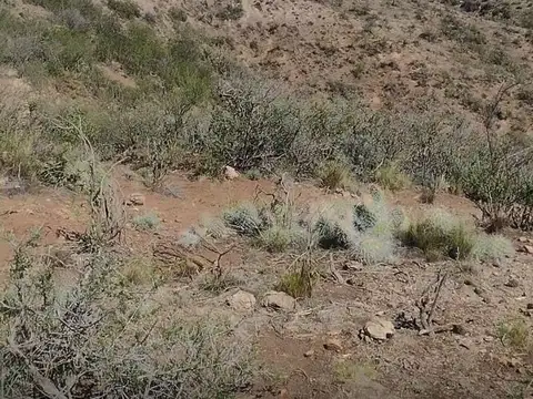 Terreno en Venta de 10002,0 m2