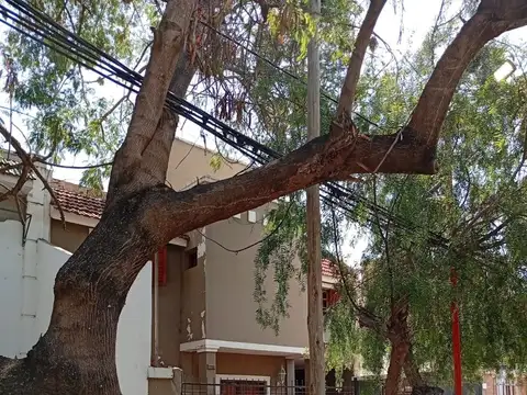 Jose F. L. Castiglione 700