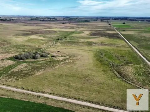 Campo en venta - 50 Hectáreas - General Madariaga