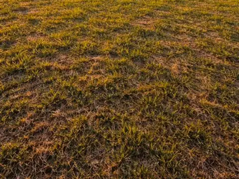 Terreno en Venta en Santo Tome, USD 76.900