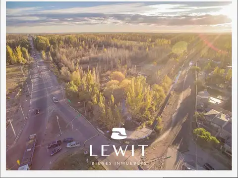 Terreno en Venta de 55000,0 m2