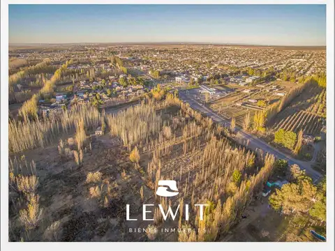 Terreno en Venta en Centenario, USD 100