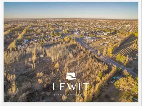 Terreno en Venta en Centenario, USD 100