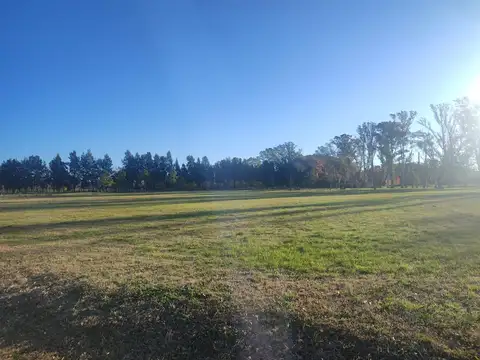 Terreno en La asuncion
