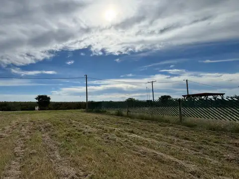 Terreno en Punta Chacra Escriturado