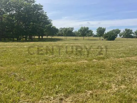 Terreno en Venta de 1520,0 m2