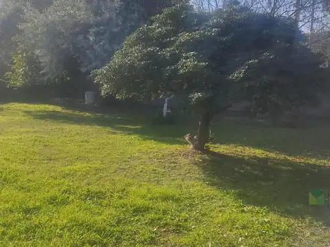 Terreno en Venta 25  mts Fondo