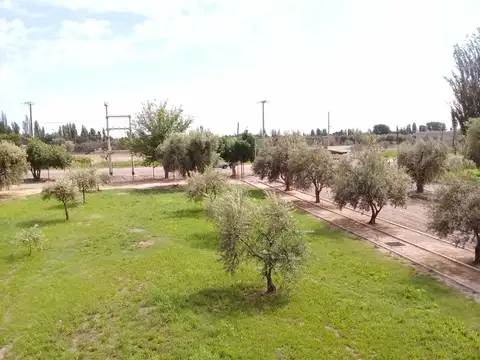 Terreno en venta Olivos de Furlotti