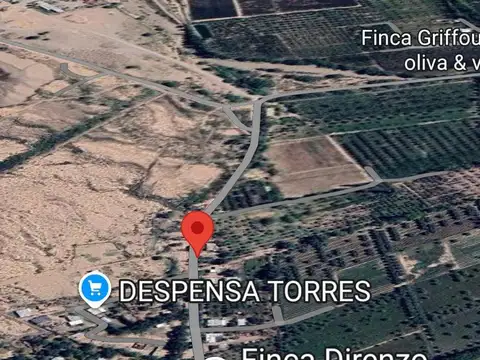 VENTA FINCA MENDOZA MAIPU BARRANCAS