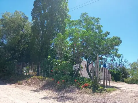 VENTA FINCA MENDOZA MAIPU BARRANCAS