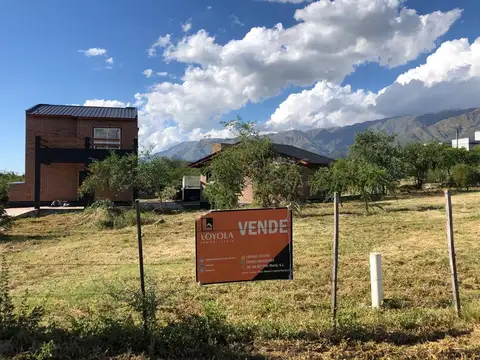 Casa en Alquiler en Centro, USD 1.100