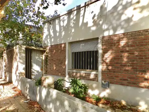 Profesor Cid Guidi de Franc 300