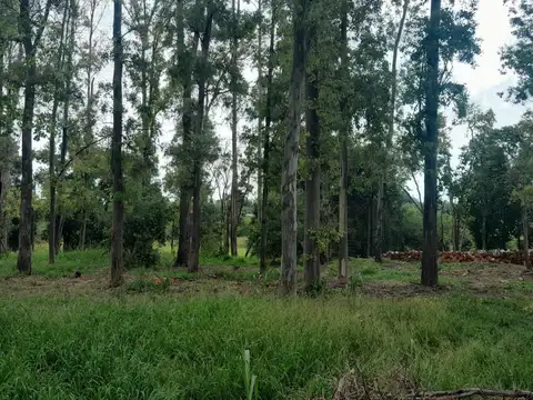 Terreno EXELENTE UBICACION VISTA PANORAMICA