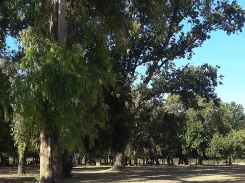 Terreno en Venta en Countries y Barrios Cerrados en Moreno, USD 65.000