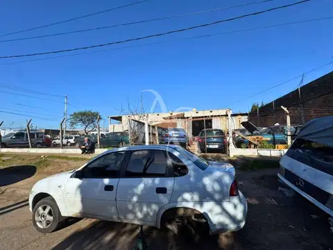 presidente Alturo Illia al 5600