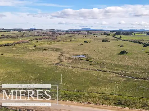 Campo de 114ha en Puntas de José Ignacio