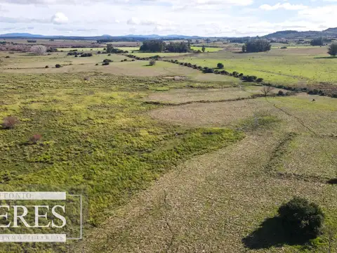 Campo de 114ha en Puntas de José Ignacio